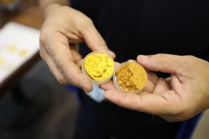 Imagem da notícia - Resíduos de frutos amazônicos ricos em vitamina A servem de compostos para produção de corante natural