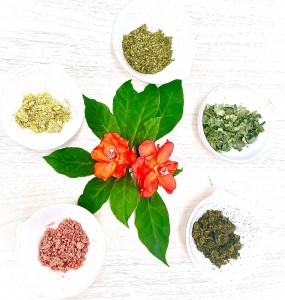 Imagem da notícia - Nova alternativa de alimentação nutritiva e saudável é estudada em pesquisa apoiada pelo Governo do Amazonas