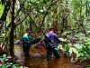 FAPEAM- Pesquisa  analisa saúde de peixes e tartarugas em ambientes aquáticos da Amazônia - Fotos Lidia Aguiar da Silva _