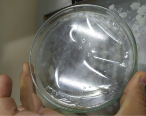 Imagem da notícia - Com apoio do Governo do Amazonas, pesquisa aponta princípio ativo oriundo da floresta como alternativa para produção de filmes de hidrogel para aplicação em doenças de pele