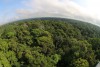 Fapeam- Memórias bioculturais e biodiversidades- Foto-Secom