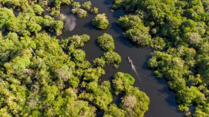Imagem da notícia - Com apoio do Governo do Amazonas, evento discute impactos causados pelo aquecimento global nos ecossistemas aquáticos
