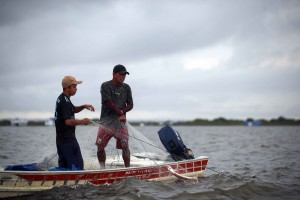 Imagem da notícia - Fapeam recebe até 29 de julho propostas de pesquisadores ao Programa Jovem Cientista na Pesca Artesanal