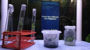 Imagem da notícia - Projetos inovadores apoiados pelo Governo do Amazonas estão em exposição na Feira do Empreendedor