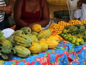 Imagem da notícia - Com apoio do Governo do Amazonas, comunidades tradicionais do Médio Solimões recebem oficina de Regionalização da Educação em Nutrição