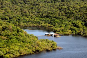 Imagem da notícia - Em parceria com o BID, Iniciativa Amazônia+10 lança programa de residência na Amazônia Legal