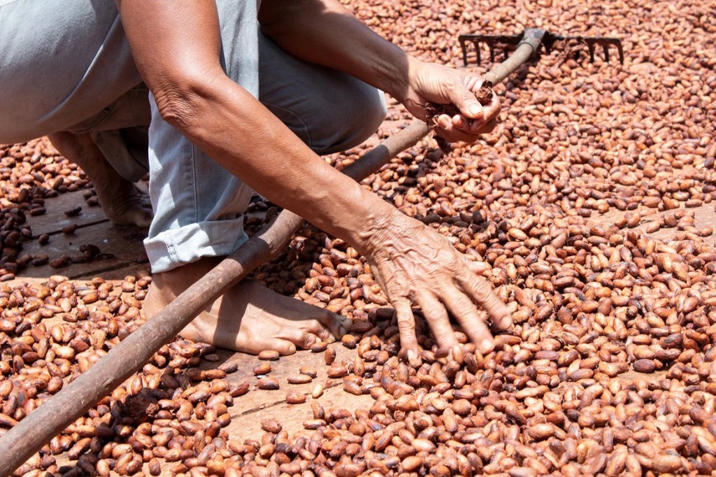 Acervo da Na’kau Chocolate Amazônico_3