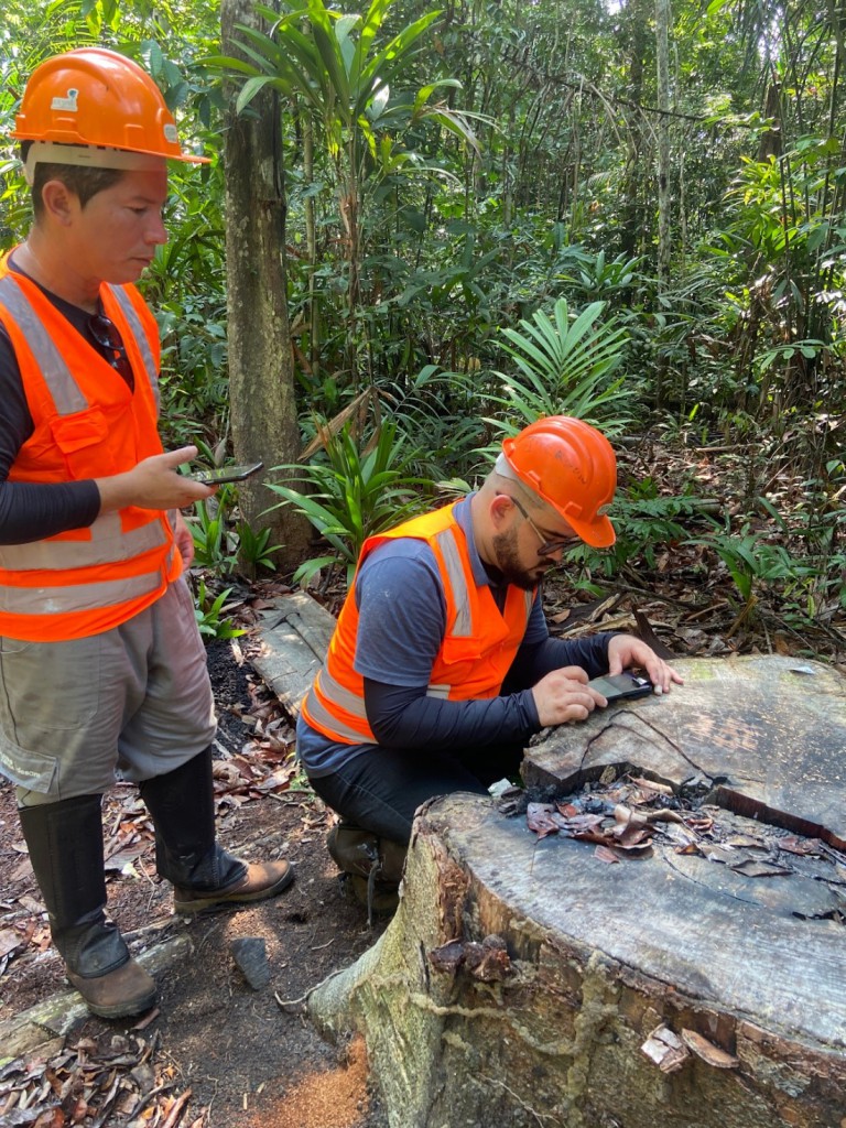 Fapeam- Análise da espécie in loco com a aplicação Woodscan Foto arquivo pessoal da Woodscan