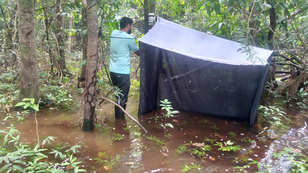 Foto: arquivo pessoal da pesquisadora Itanna Fernandes