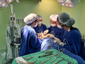 Foto: Arquivo pessoal da pesquisadora Lia Mizobe Ono