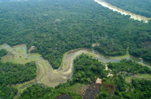 Imagem da notícia - Publicado resultado final de enquadramento do Programa Amazonas Fapeam + ODS