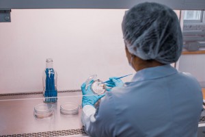 Imagem da notícia - Fapeam divulga resultado preliminar das propostas submetidas ao Programa de Apoio ao Empreendedorismo Feminino nas Cadeias Produtivas do Interior do Amazonas