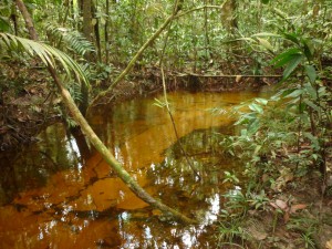 Imagem da notícia - Pesquisa, apoiada pelo Governo do Amazonas, analisou origens dos fluxos de água e possíveis alterações da qualidade relacionadas à urbanização