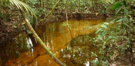 FAPEAM - Origens dos fluxos de água e as possíveis alterações da qualidade relacionadas à urbanização - FOTO_ SÁVIO FERREIRA (2)