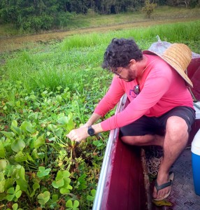 Imagem da notícia - Com apoio do Governo do Amazonas, pesquisa identifica duzentas espécies de microalgas em Parintins