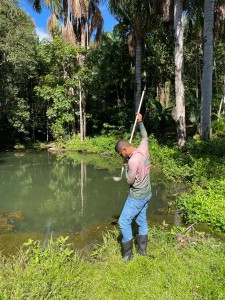 Imagem da notícia - Com apoio do Governo do Amazonas, pesquisa analisa óleos essenciais extraídos de plantas como bioinseticidas contra vetores causadores da malária e dengue