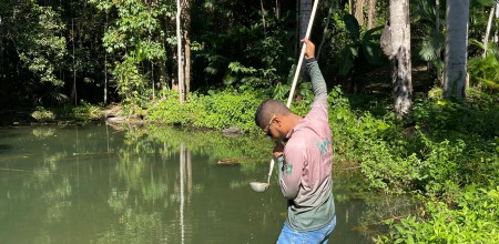 Pesquisa analisa óleos essenciais extraídos de plantas como bioinseticida contra os mosquitos vetores e agente causadores da malária e dengue FotoAcervo do laboratório de Malária e D (3)