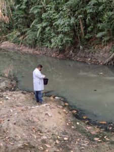 Imagem da notícia - Pesquisa apoiada pelo Governo do Amazonas revela que fungos nativos da região Amazônica funcionam como alternativa sustentável para o biotratamento da água