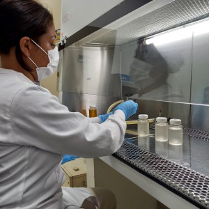 Imagem da notícia - Fapeam apoia oportunidades para jovens cientistas em parceria com o Instituto Serrapilheira e Confap
