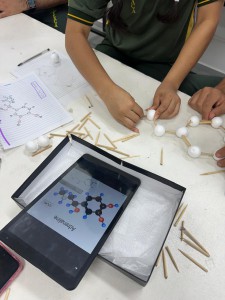 Imagem da notícia - Governo do Amazonas apoia projeto que ensina estruturas hormonais femininas com bioinformática, modelagem e impressão 3D
