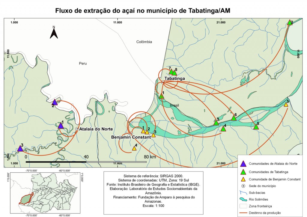 Fapeam pesquisa Açaí  e Mapati Foto arquivo Pesquisador Jonas Dias de Souza (14)