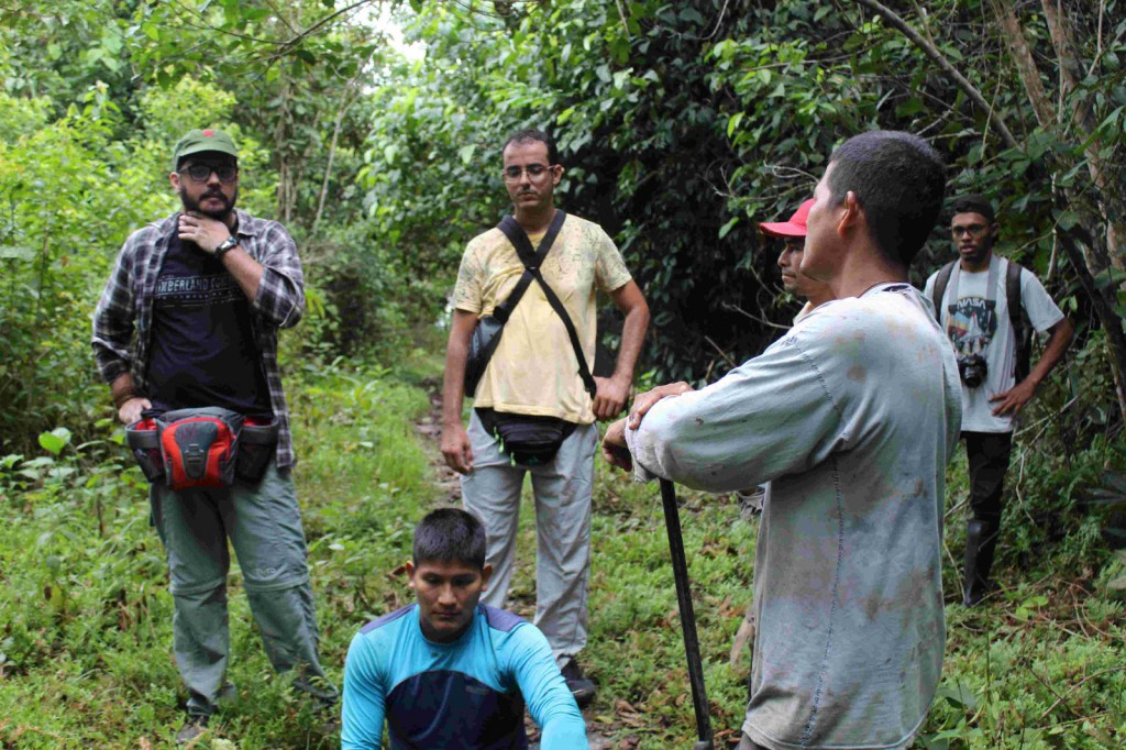 Fapeam pesquisa Açaí  e Mapati Foto arquivo Pesquisador Jonas Dias de Souza (6)