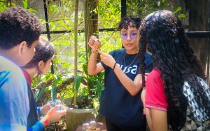 Imagem da notícia - Com o apoio do Governo do Amazonas, estudantes desenvolvem jogo didático que estimula a preservação da fauna e flora amazônica