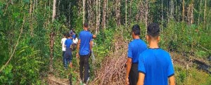 Imagem da notícia - Projeto apoiado pelo Governo do Amazonas analisa a produção e herança cultural da farinha de mandioca em Barreirinha