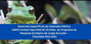 Imagem da notícia - Fapeam divulga as diretrizes específicas para Chamada Peld