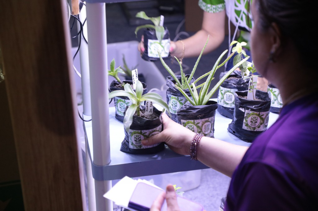 Fapeam - Inscrições para os programas Painter Ecoturismo, Profix-RH e Pameq - Foto Ayrton Lopes