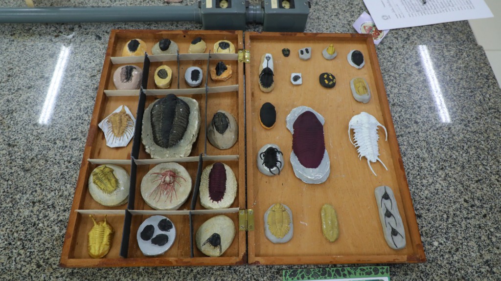 FAPEAM Coleções Biológicas e Museus Foto Ayrton Lopes Fapeam (1)