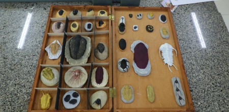 FAPEAM Coleções Biológicas e Museus Foto Ayrton Lopes Fapeam (1)