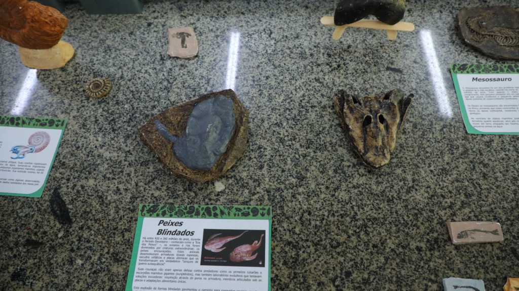 FAPEAM Coleções Biológicas e Museus Foto Ayrton Lopes Fapeam