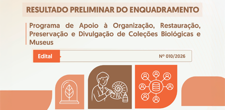 topo-de-materia-01.06